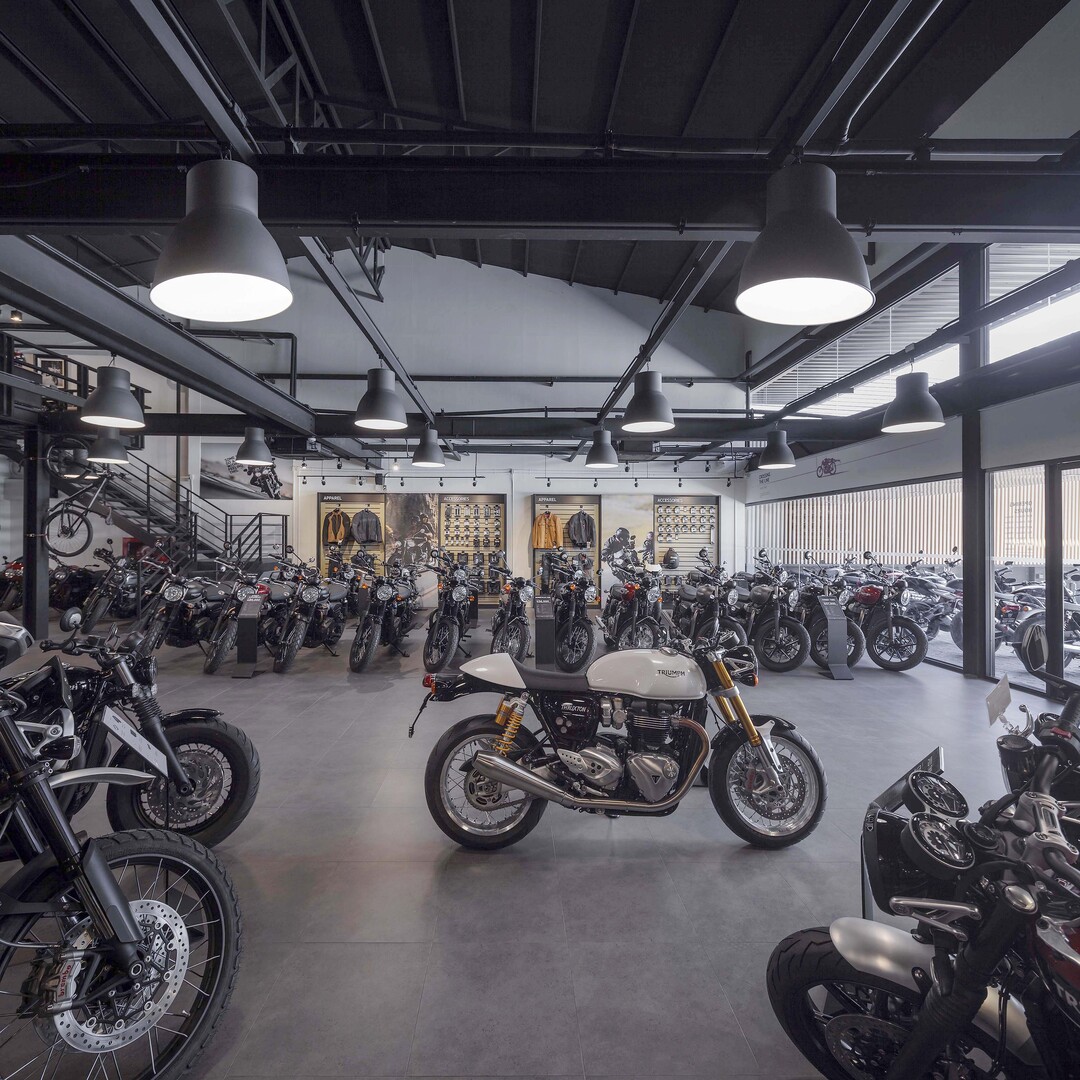 Triumph CNX. image 6